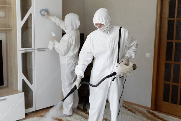 Trusted Sewage Cleanup service in Edgewater, NJ - Four Month Blood Cleanse